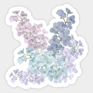 Spring in Korea,a feast of flowers,pink flower Sticker